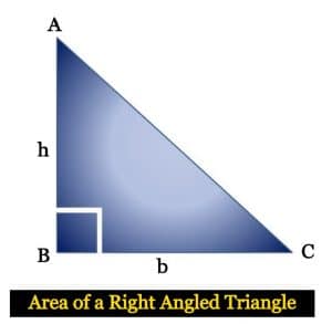 Area of Triangle: Formulas & Examples – Toppers Bulletin