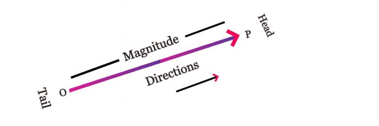 Vectors and Scalars : Definition, Types – Toppers Bulletin