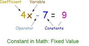what is a constant term in algebra