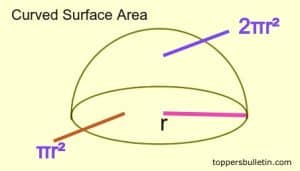 Area of Hemisphere (Curved and Total Surface Area)| Formulas – Toppers ...