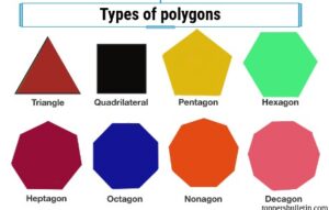 What is a Regular Polygon? – Toppers Bulletin